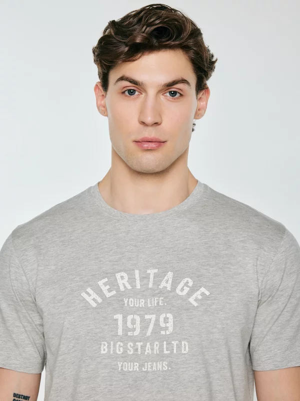 Koszulka męska z nadrukiem szara Serter 901