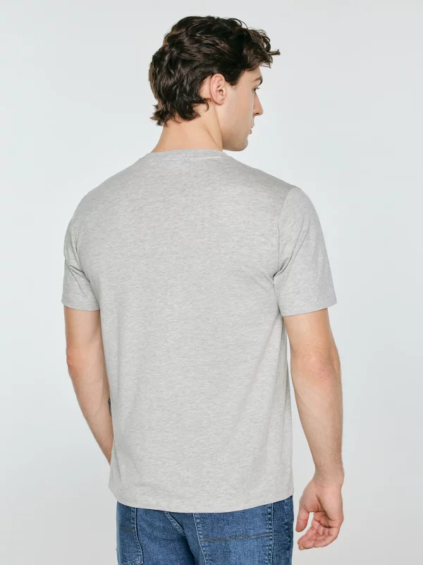 Koszulka męska z nadrukiem szara Serter 901