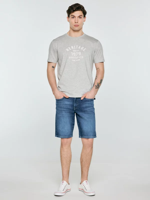 Koszulka męska z nadrukiem szara Serter 901