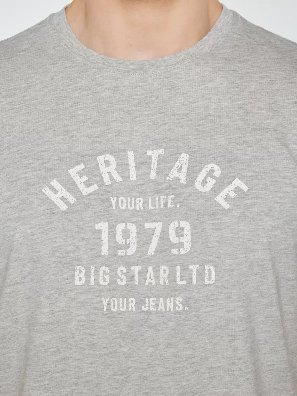 Koszulka męska z nadrukiem szara Serter 901