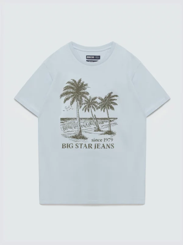 Koszulka męska z kontrastowym nadrukiem błękitna Omer 400