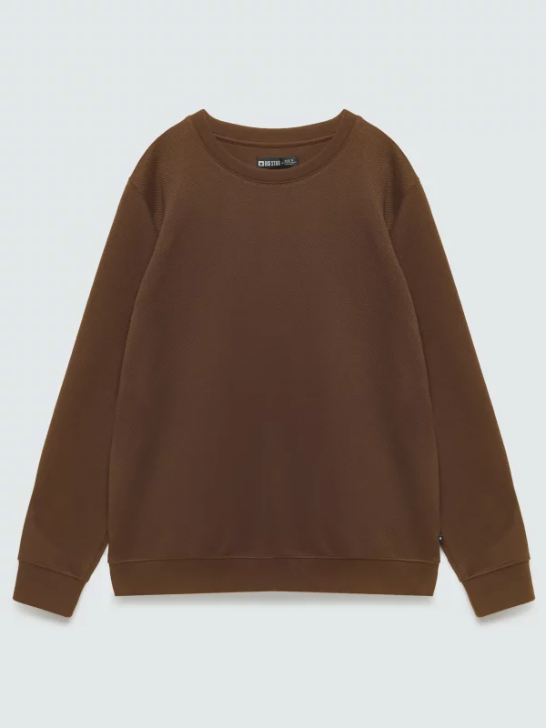 Bluza męska ze strukturalnej dzianiny brązowa Bremen 804